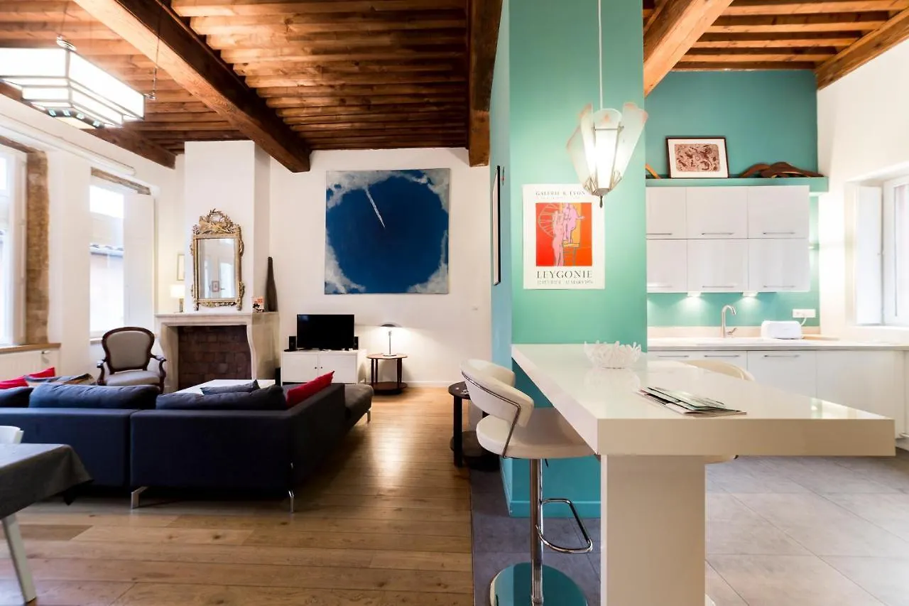 Grand Duplex Au Coeur Du Vieux Lyon Apartment